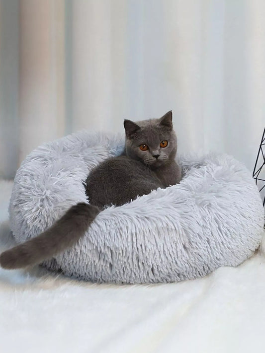 b75e1dc8-8895-4756-a35e-0be060ffa297-Max-Origin