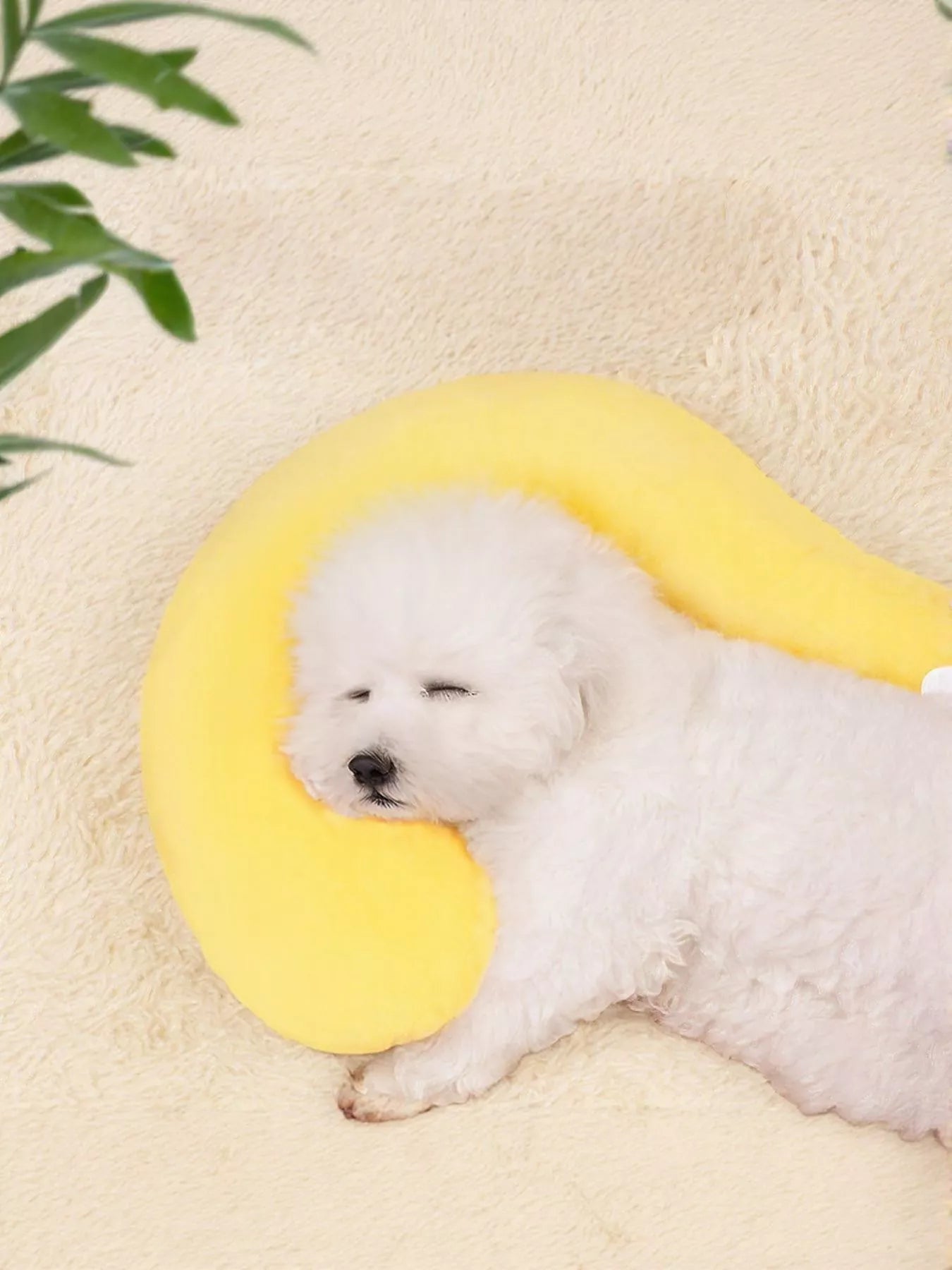 b8763167-d99e-4347-9dfd-8a8639b7ee9e-Max-Origin