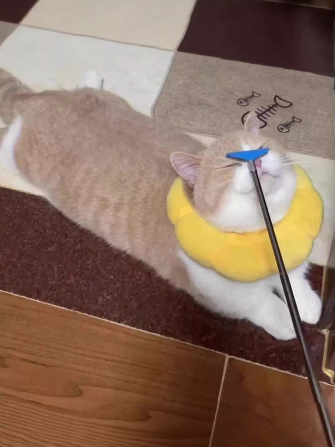 be55d88d-df74-4bc4-beab-be1d91786f32-Max-Origin