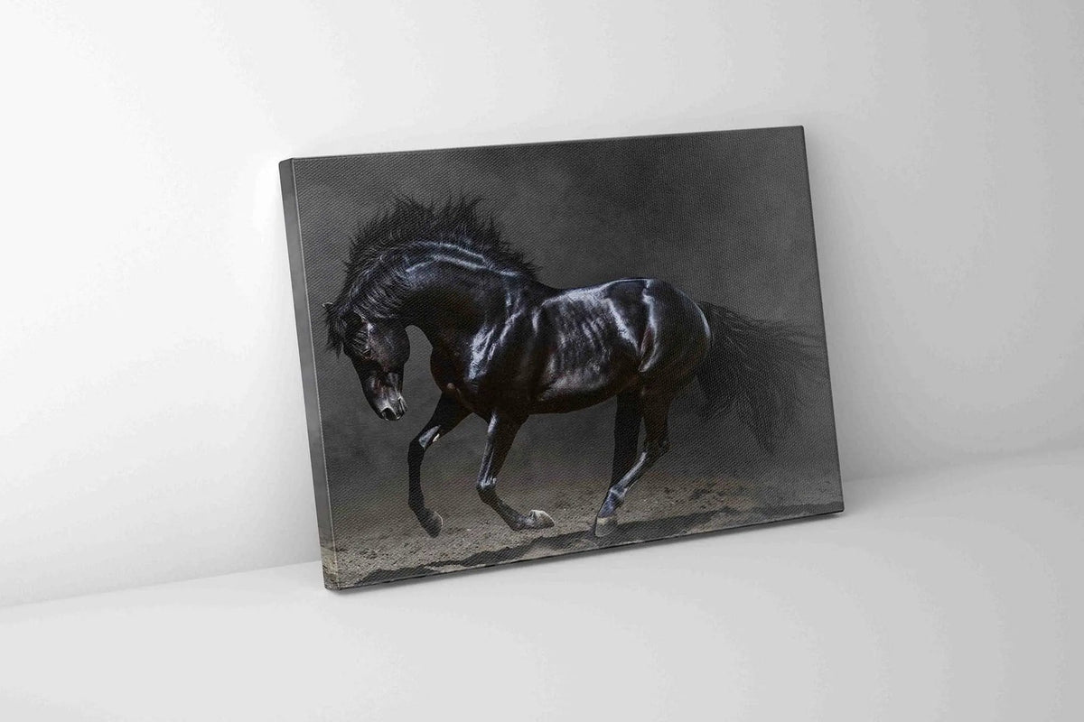 Black Majestic Horse - Wildlife Canvas Art - Diamond varnish by Gtaart.ca