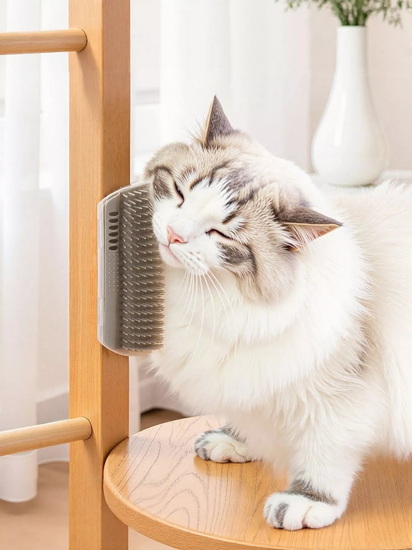 c10d7400-465c-458c-86d8-044412e67050-Max-Origin