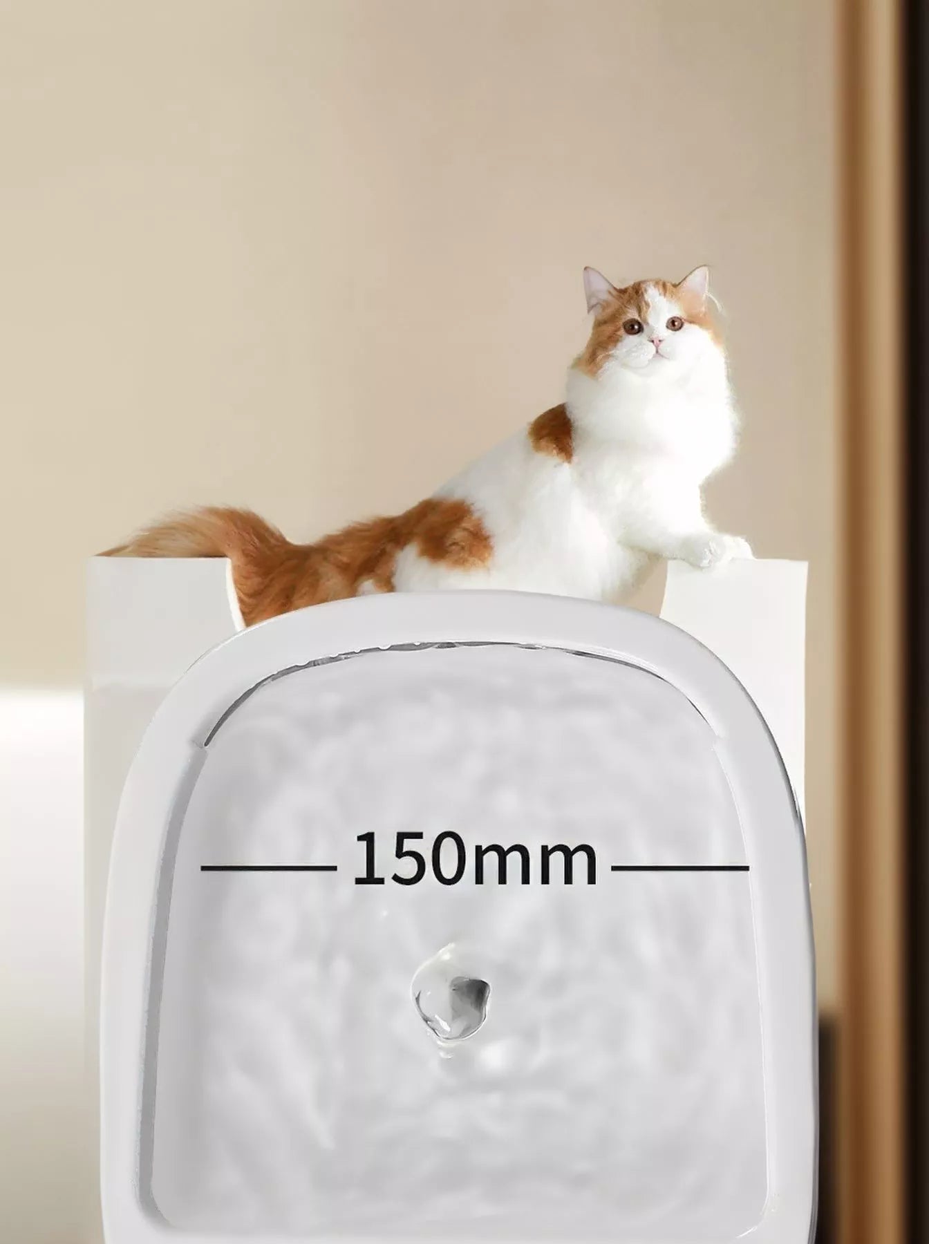 c21e5f0b-8d90-4b84-bacf-1d23284dc001-Max-Origin