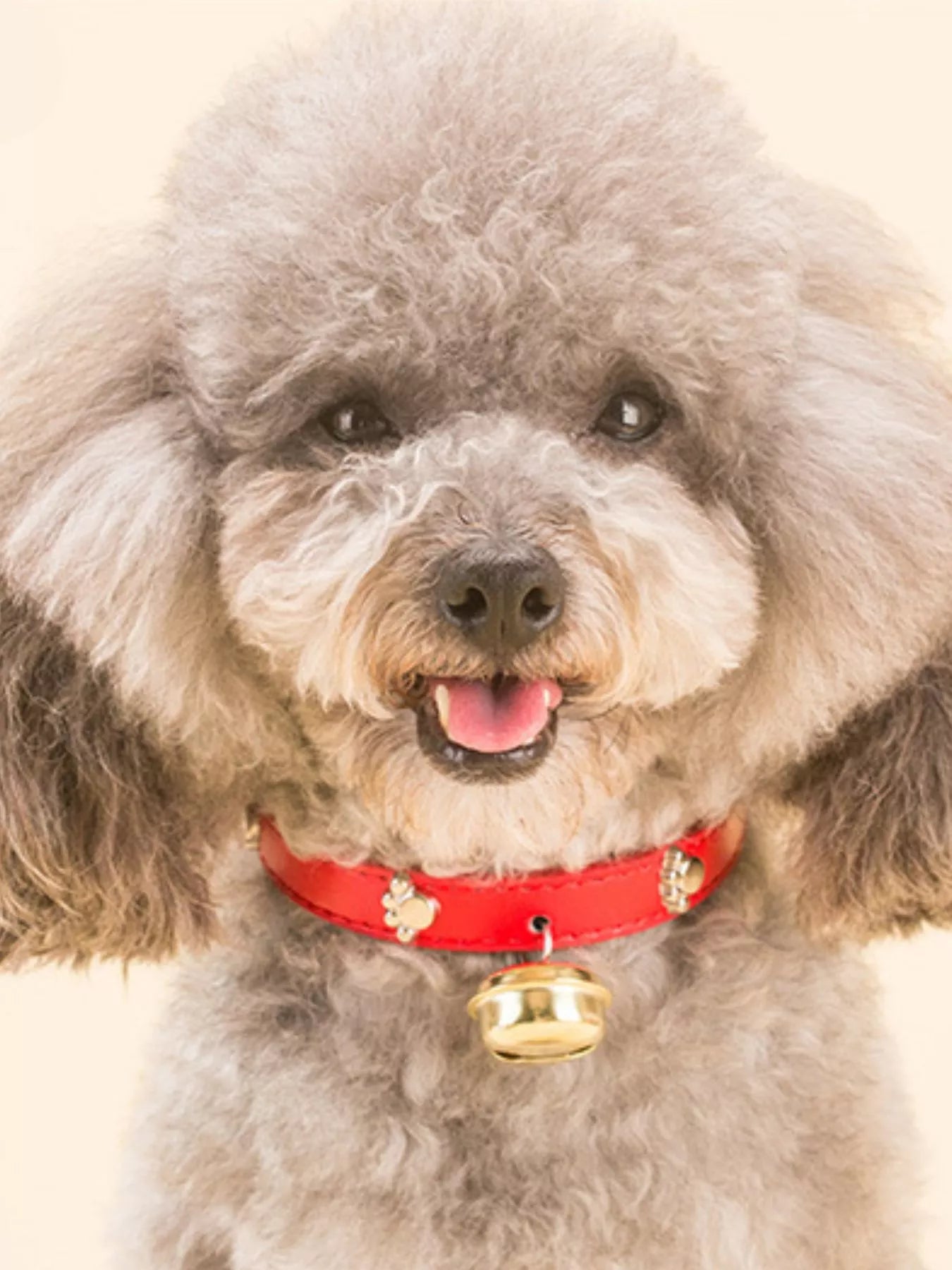 c4c90a63-1cd4-4300-a6e2-f933f3914173-Max-Origin