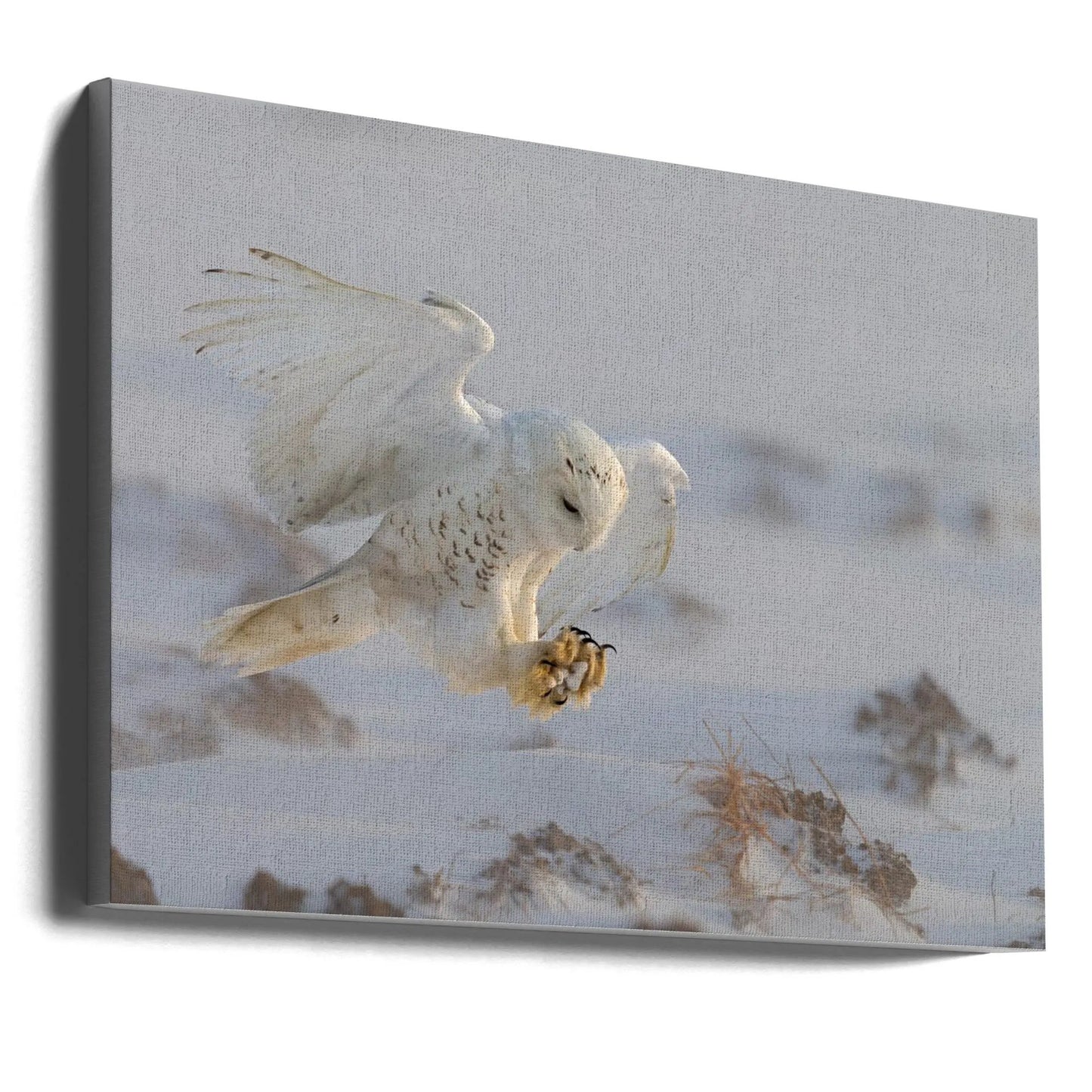 Wall art Landing by Cheng Chang