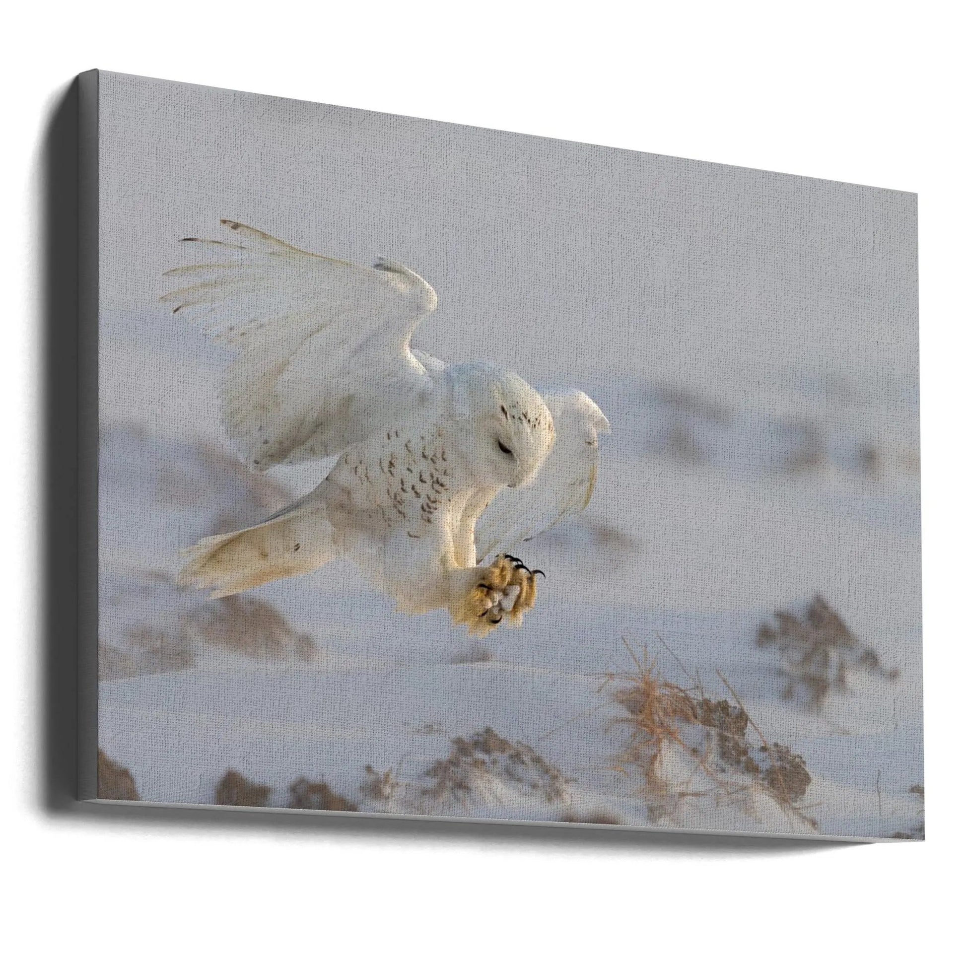 Wall art Landing by Cheng Chang