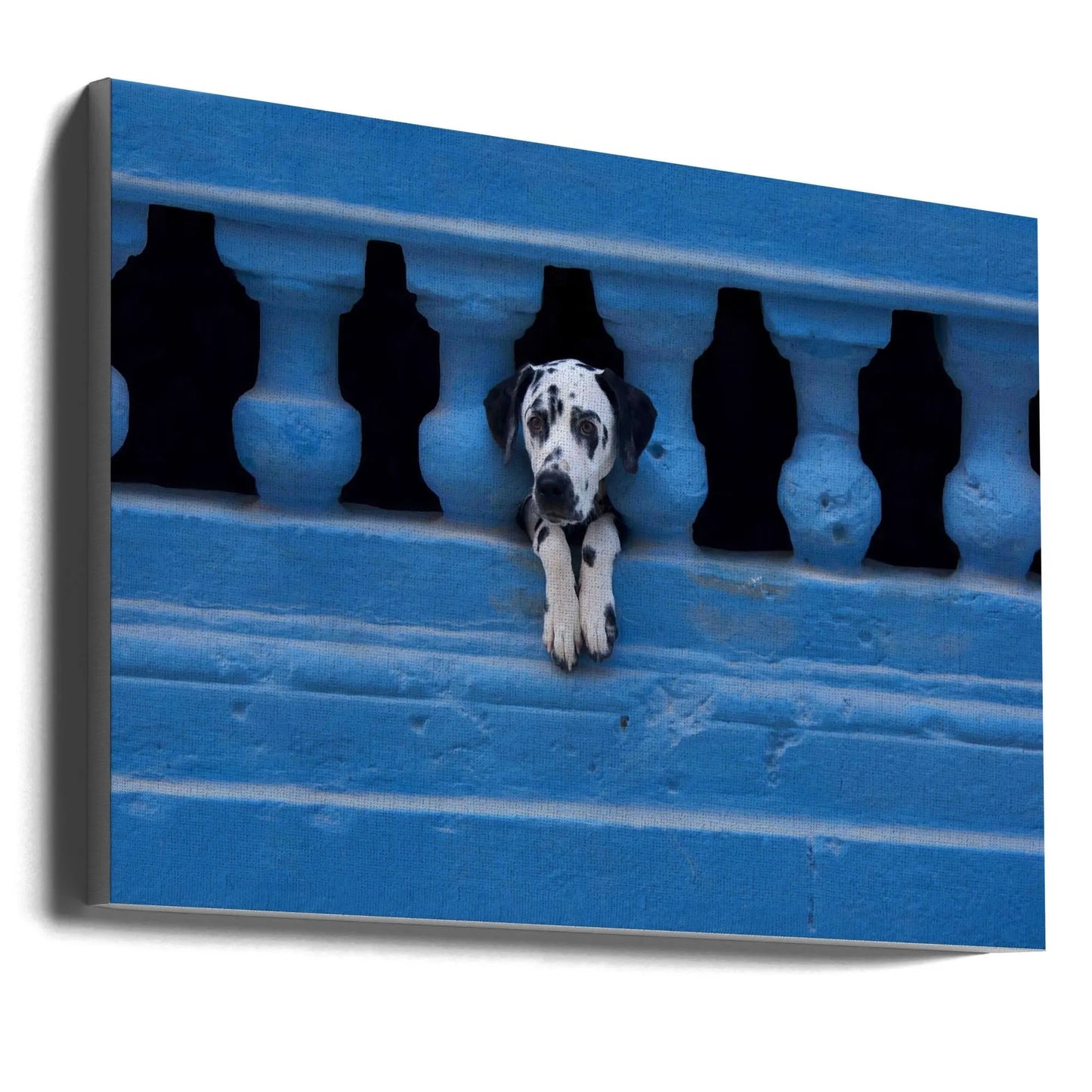 Wall art Centro Habana by Roxana Labagnara