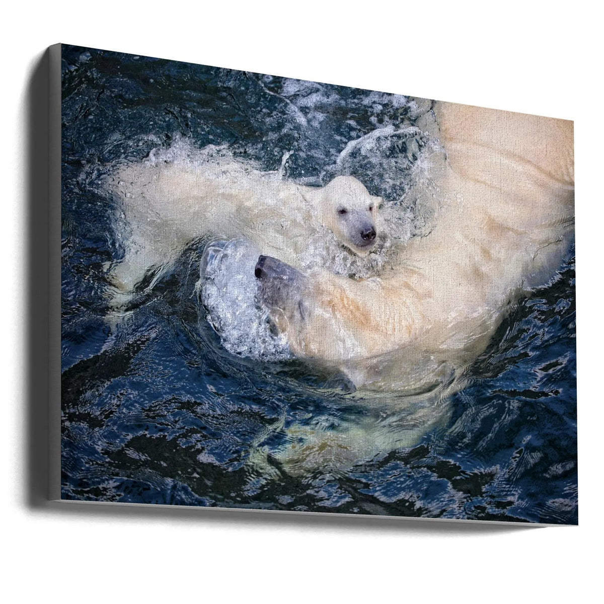 Wall art HER CUTENESS, swimming with mum by Antje Wenner-Braun