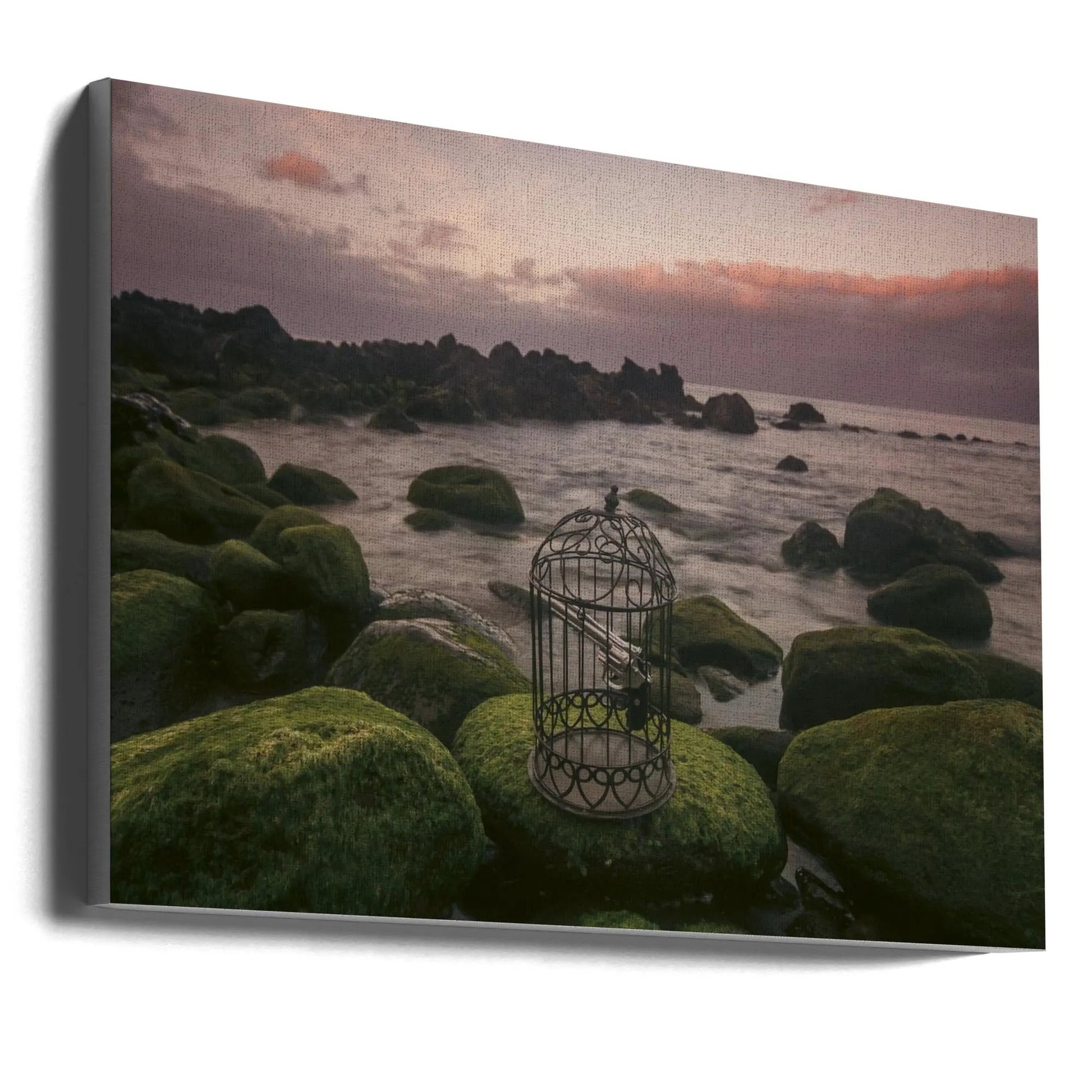 Wall art Free yourself! by Paulo Jorge