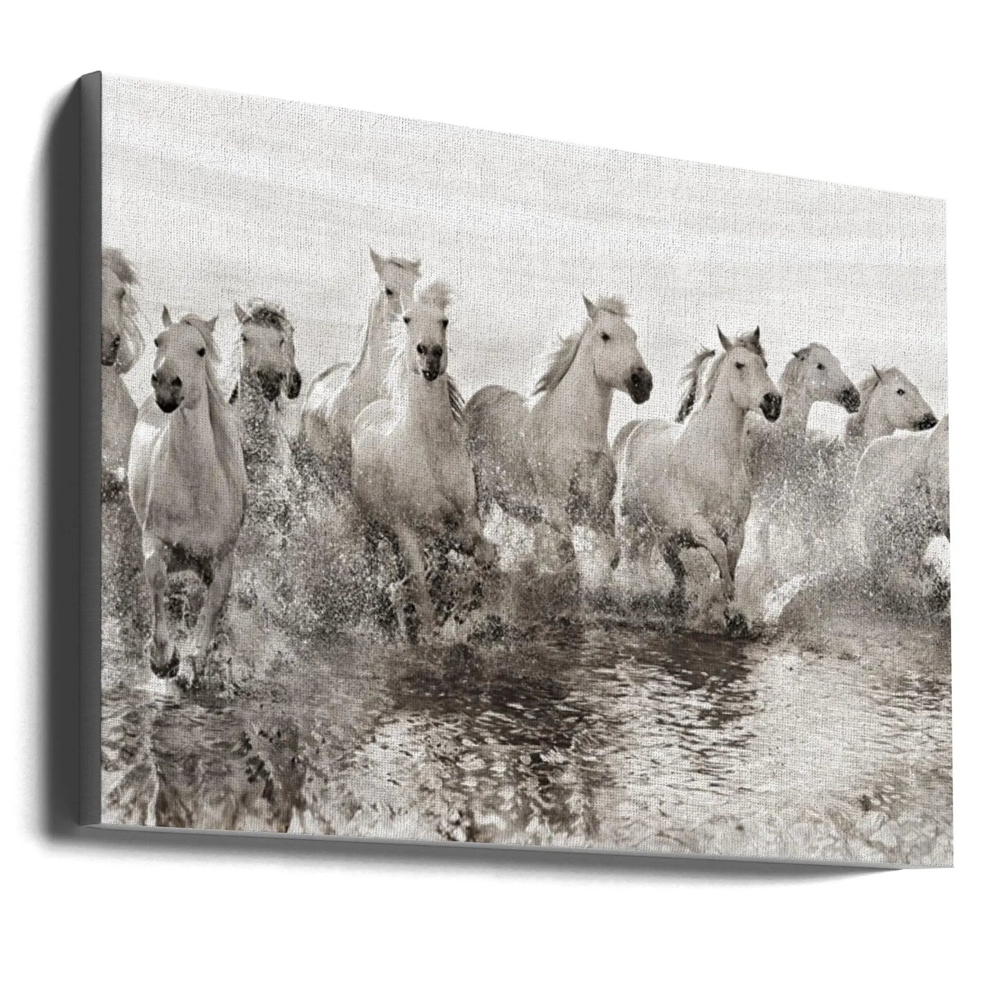 Wall art Illusion of power (13 horse power though) by Roman Golubenko