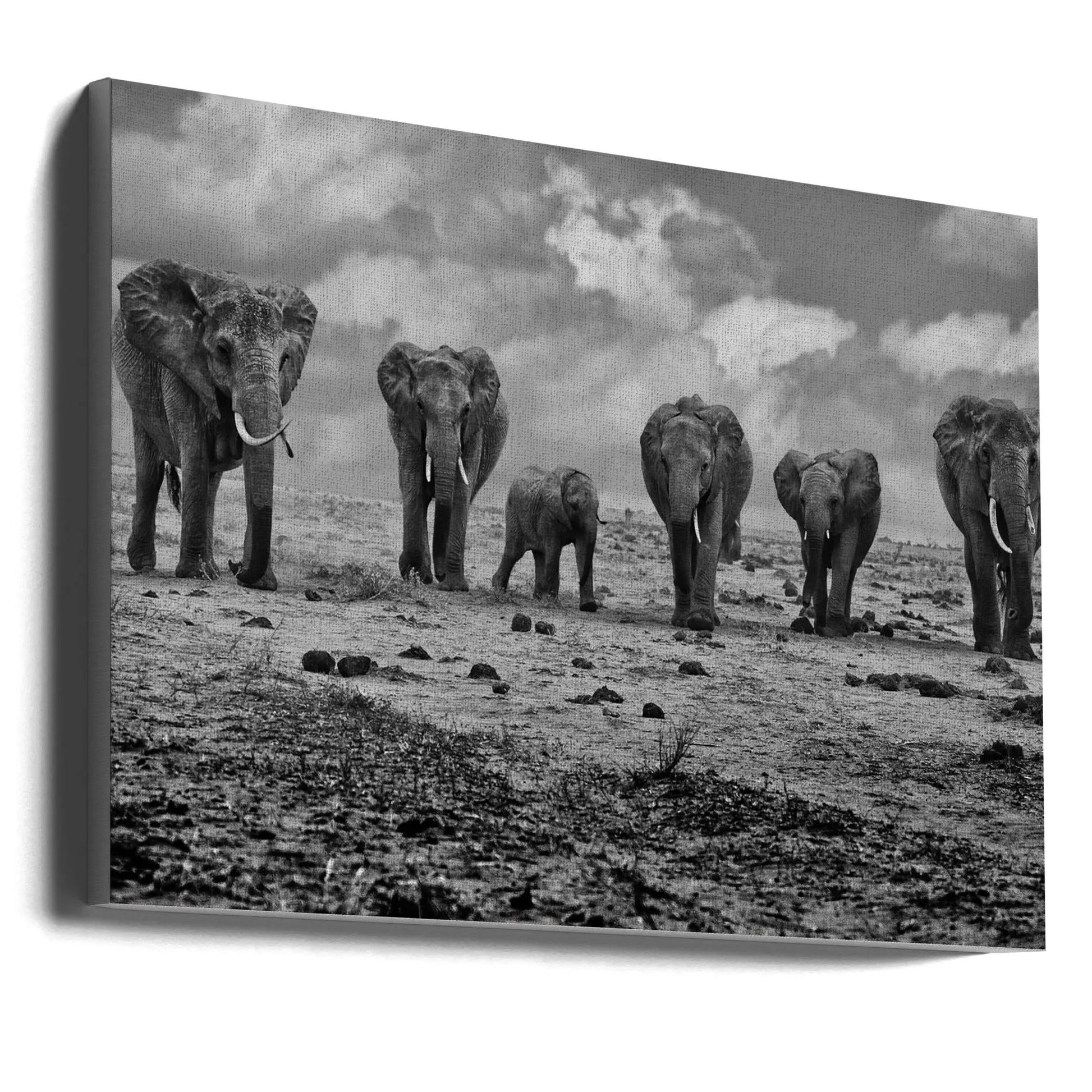 Wall art Big Family. Elephants by Marcel Rebro