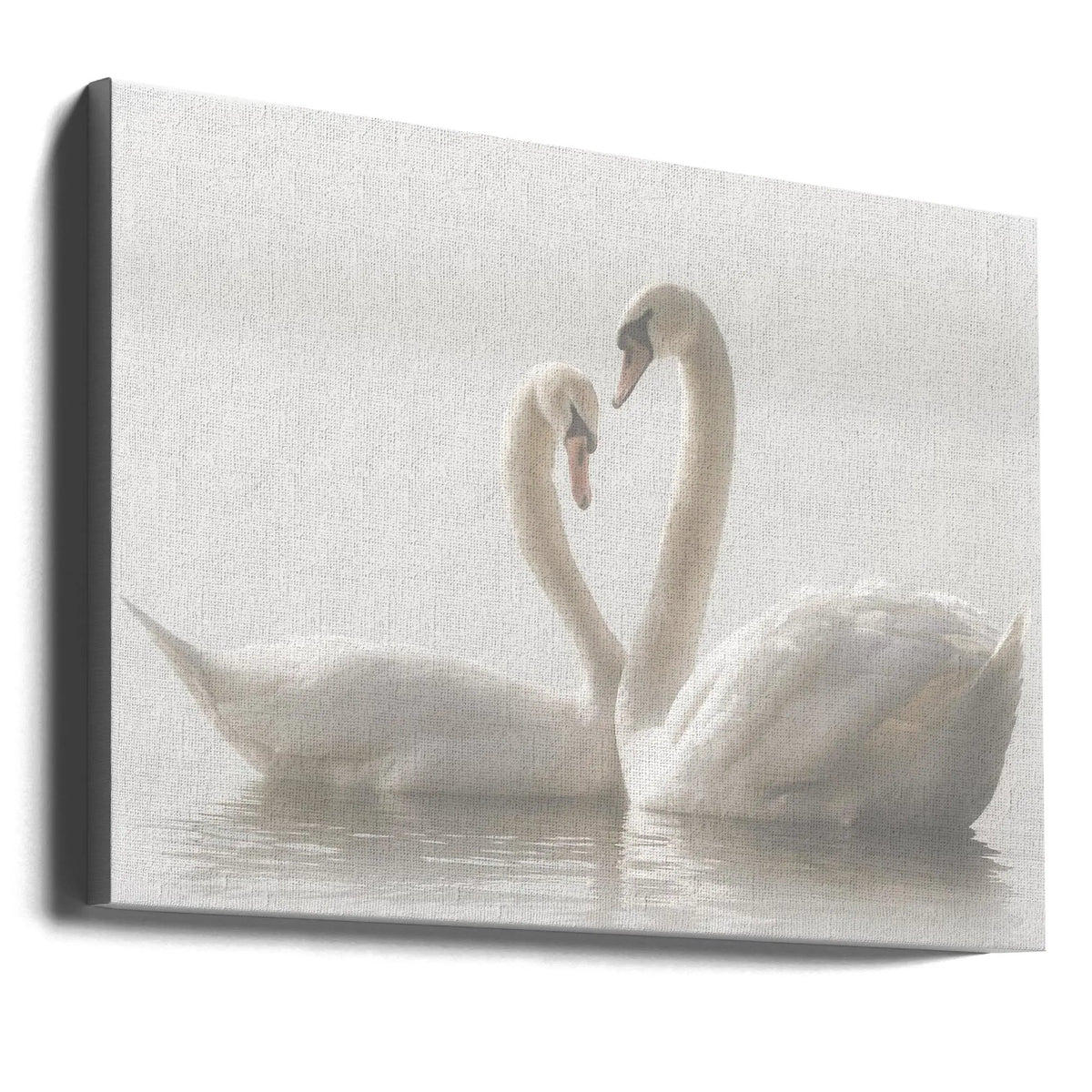 Wall art Forever. Swam by Monika Schwager