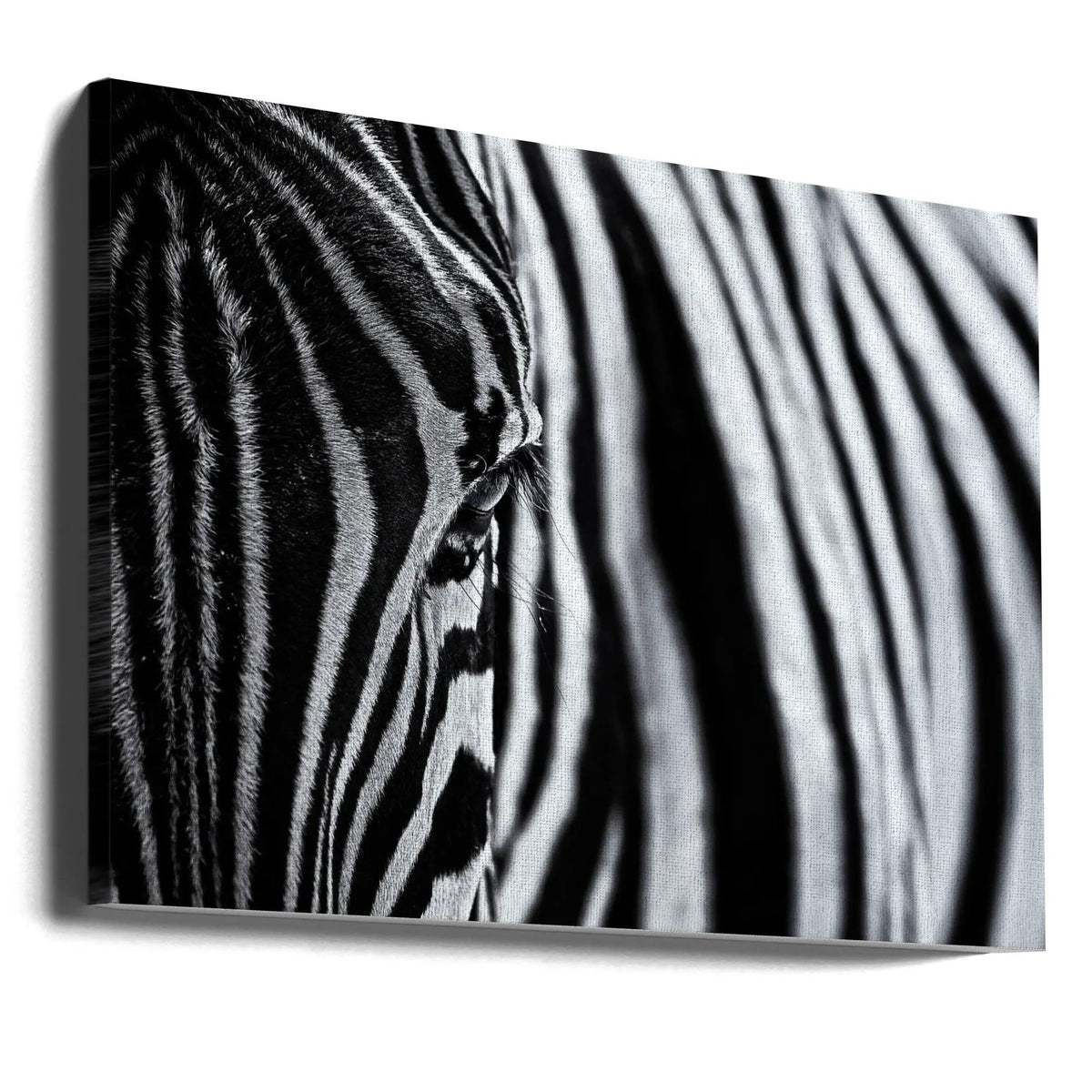 Wall art The look of nature by Marco Tagliarino