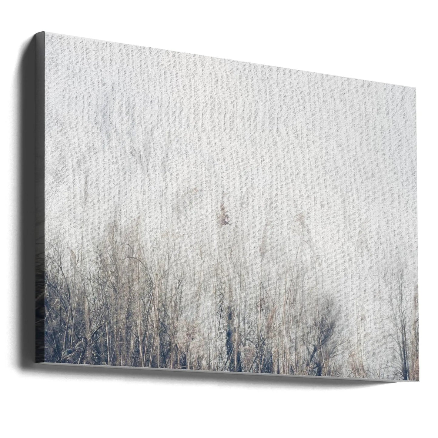 Wall art Landscape of reeds and grass by Imaginative