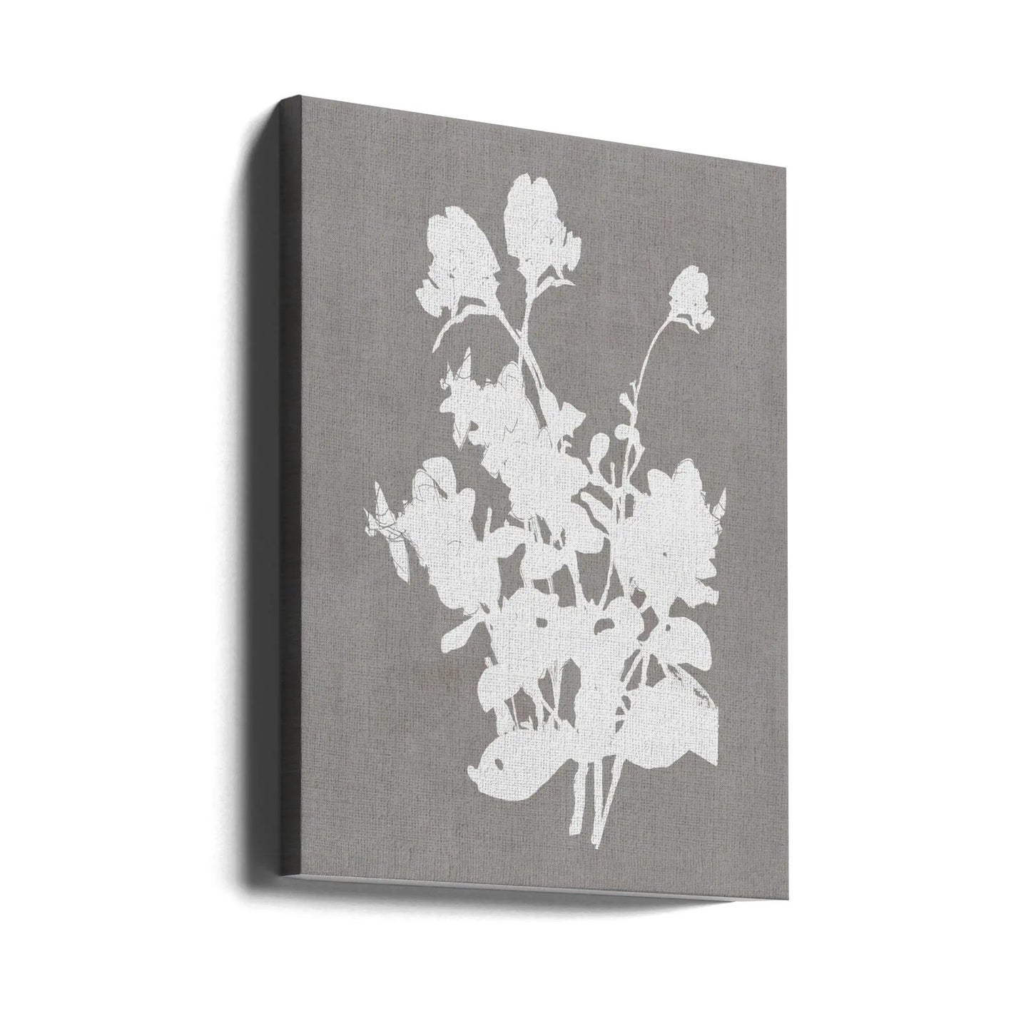 Wall art Botanical Illustration 3 by Cartissi