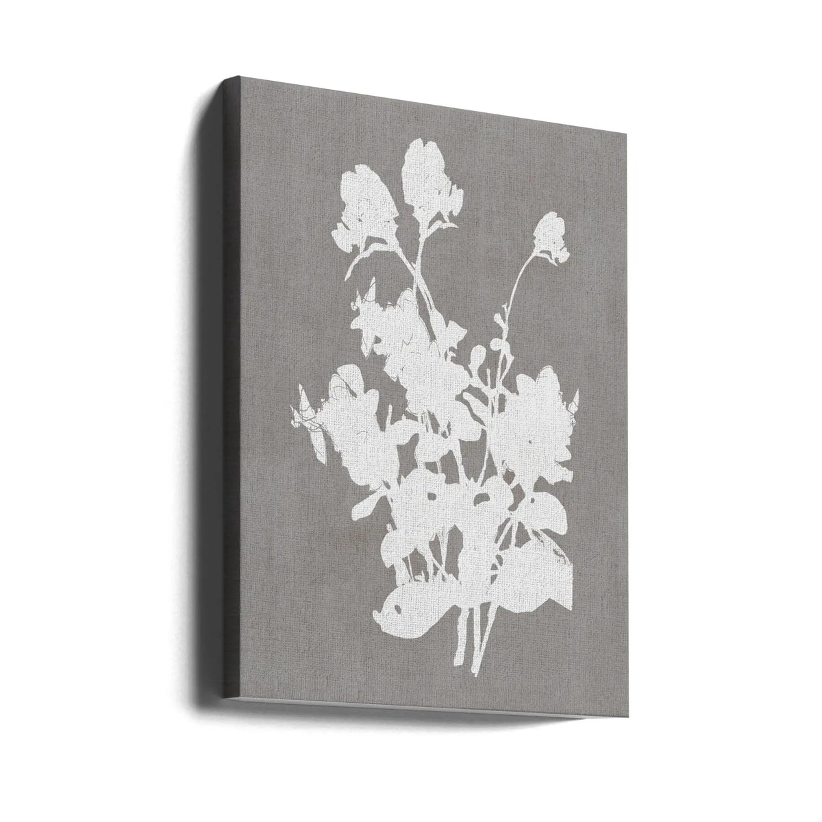 Wall art Botanical Illustration 3 by Cartissi