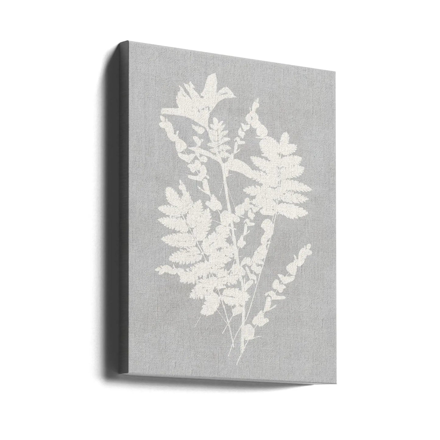 Wall art Botanical Illustration 5 by Cartissi