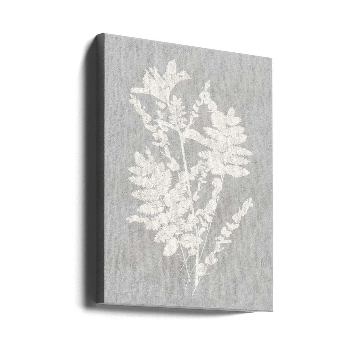Wall art Botanical Illustration 5 by Cartissi
