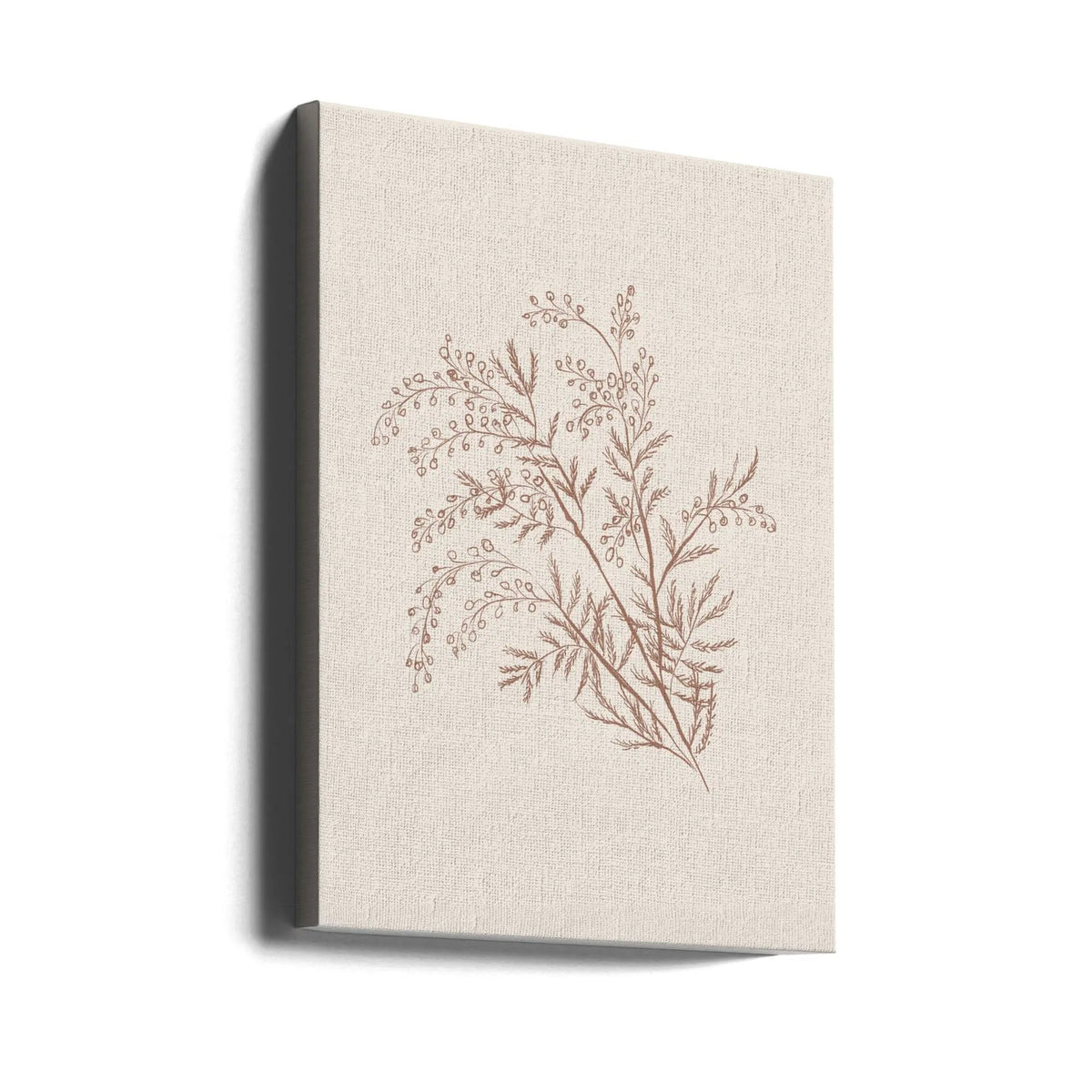 Wall art Acacia Botanical Branch by Anis Illustration