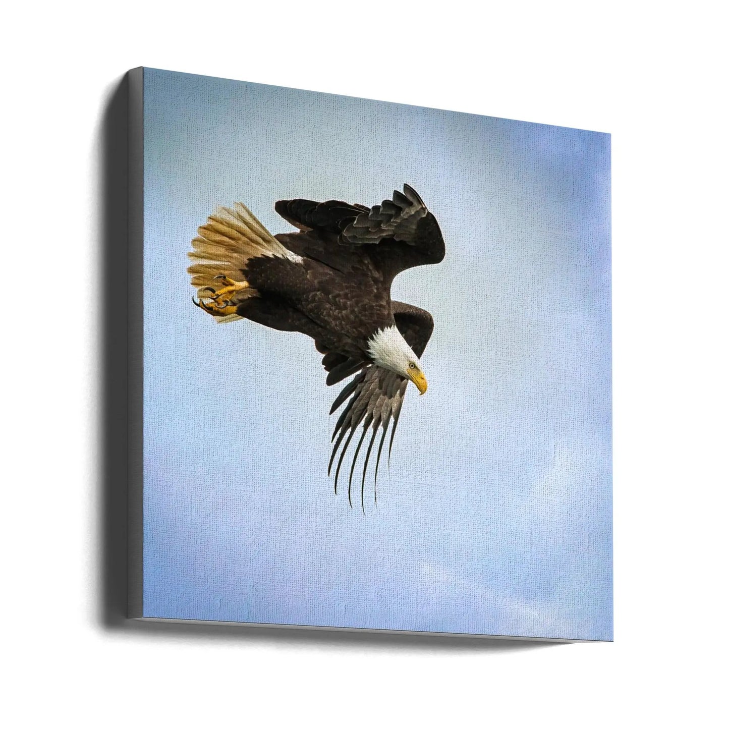 Wall art Taking Flight by Benton Murphy