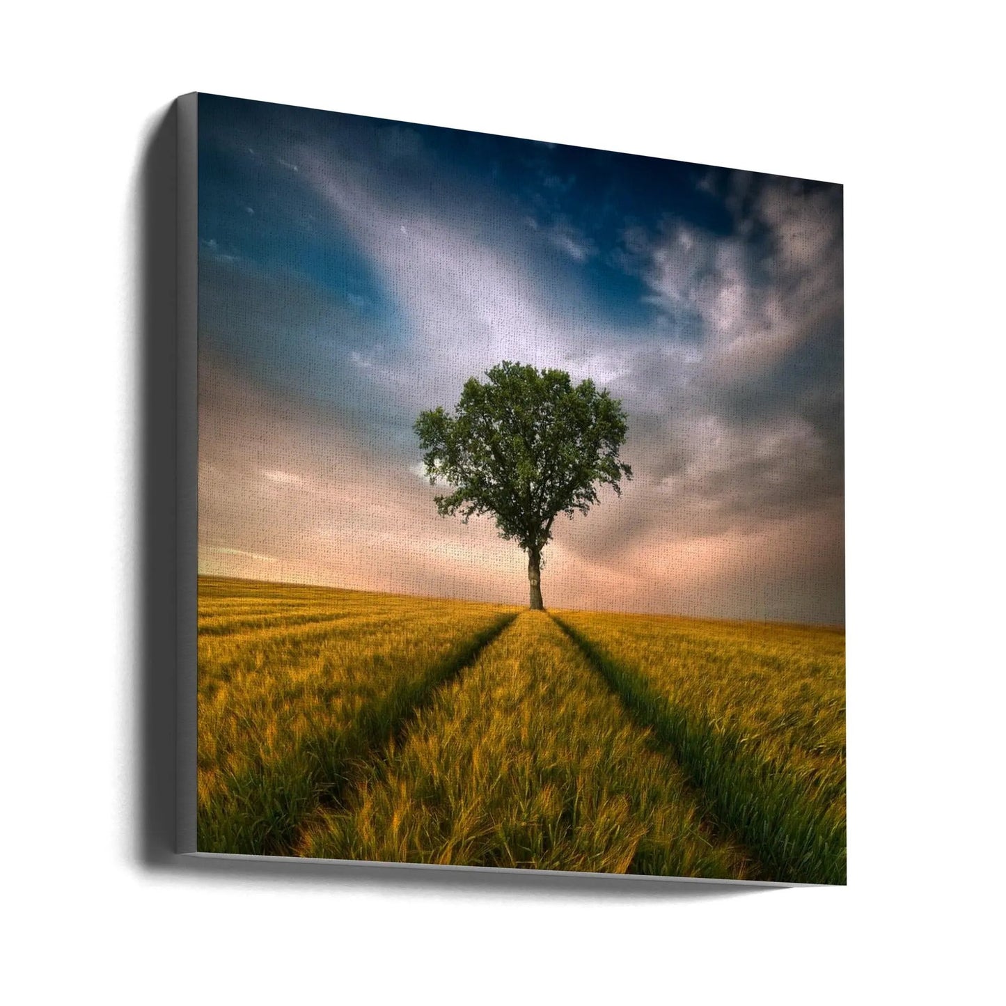 Wall art One by Piotr Krol (Bax)