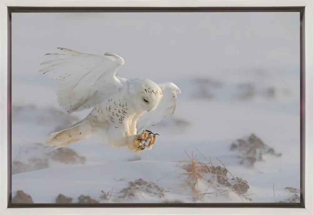Wall art Landing by Cheng Chang