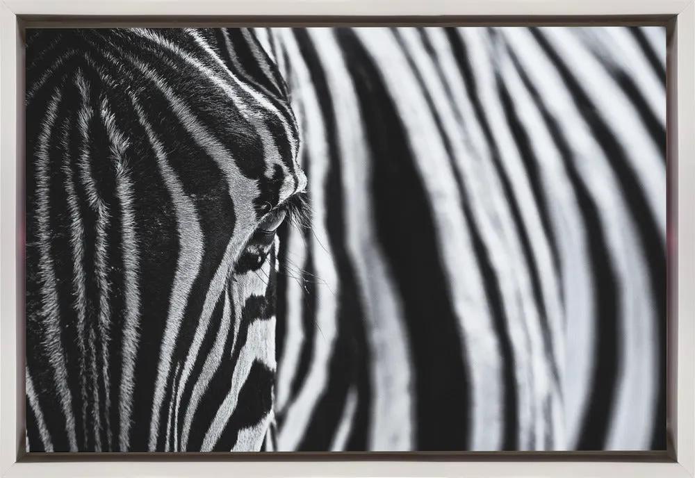 Wall art The look of nature by Marco Tagliarino