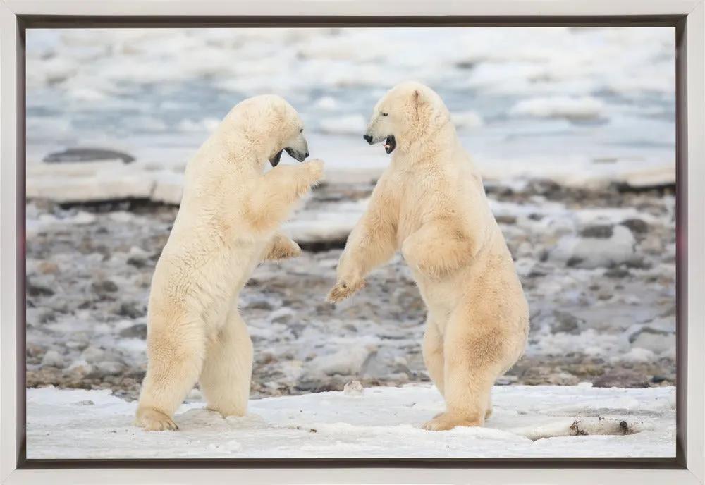 Wall art Fight ! by Alessandro Catta