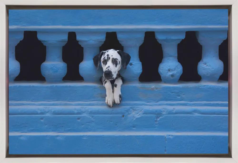 Wall art Centro Habana by Roxana Labagnara