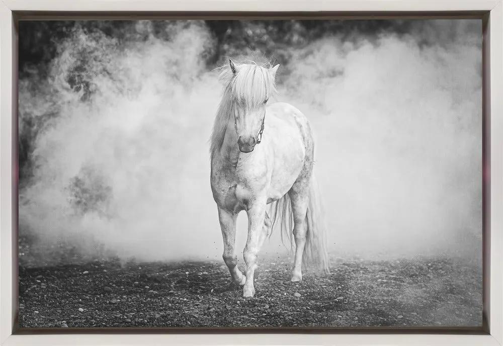 Wall art Icelandic pony by Jeffrey C. Sink
