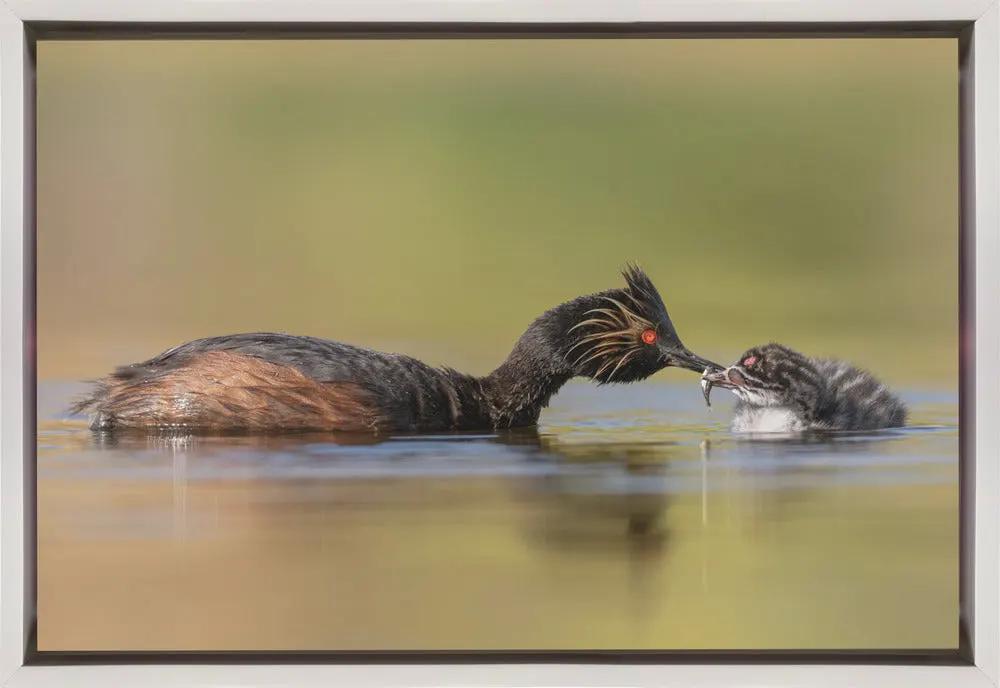 Wall art Feeding by Ling Zhang