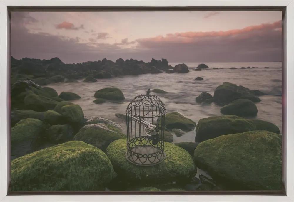 Wall art Free yourself! by Paulo Jorge