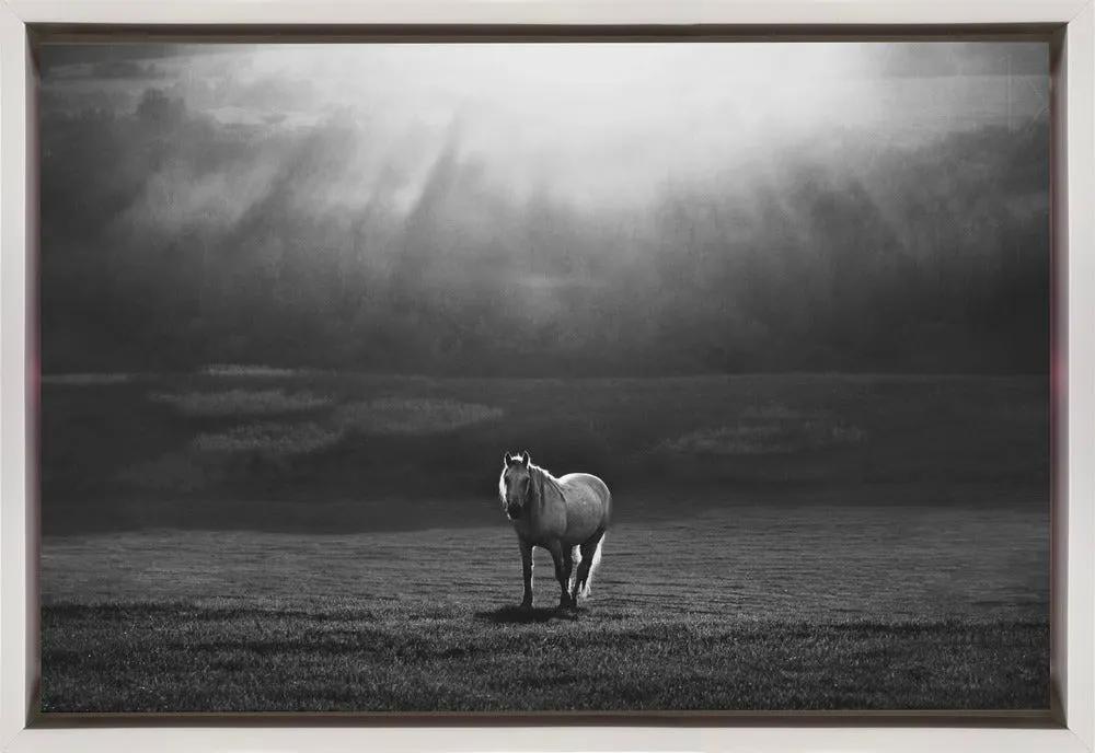 Wall art morning appearance. Hourses by Peter Svoboda MQEP