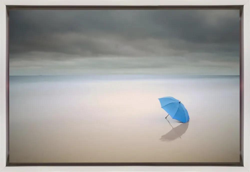 Wall art Summer Rain by Paulo Dias