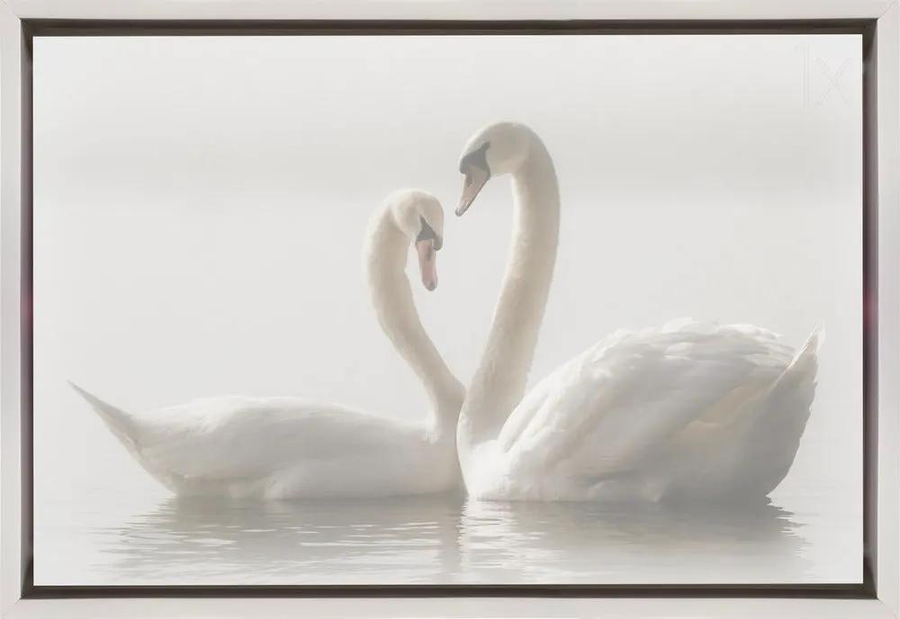 Wall art Forever. Swam by Monika Schwager