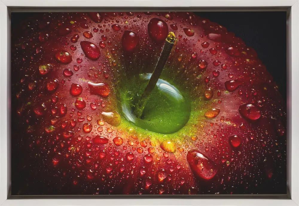 Wall art Red Apple. Food by Aida Ianeva