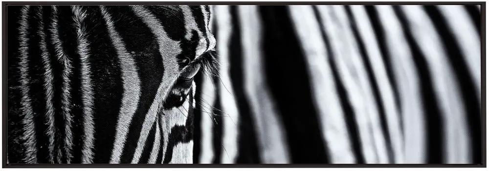 Wall art The look of nature by Marco Tagliarino