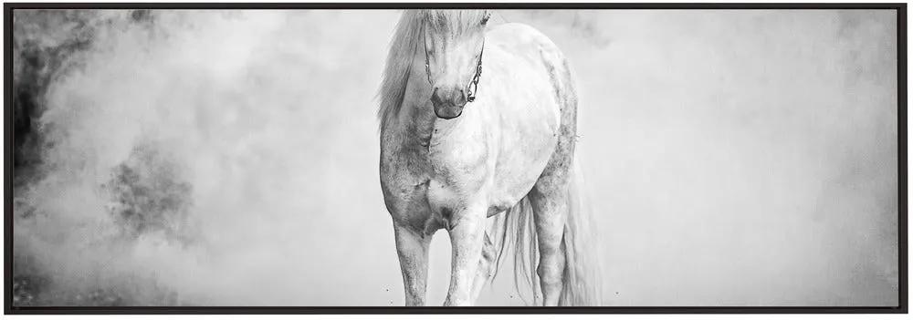 Wall art Icelandic pony by Jeffrey C. Sink