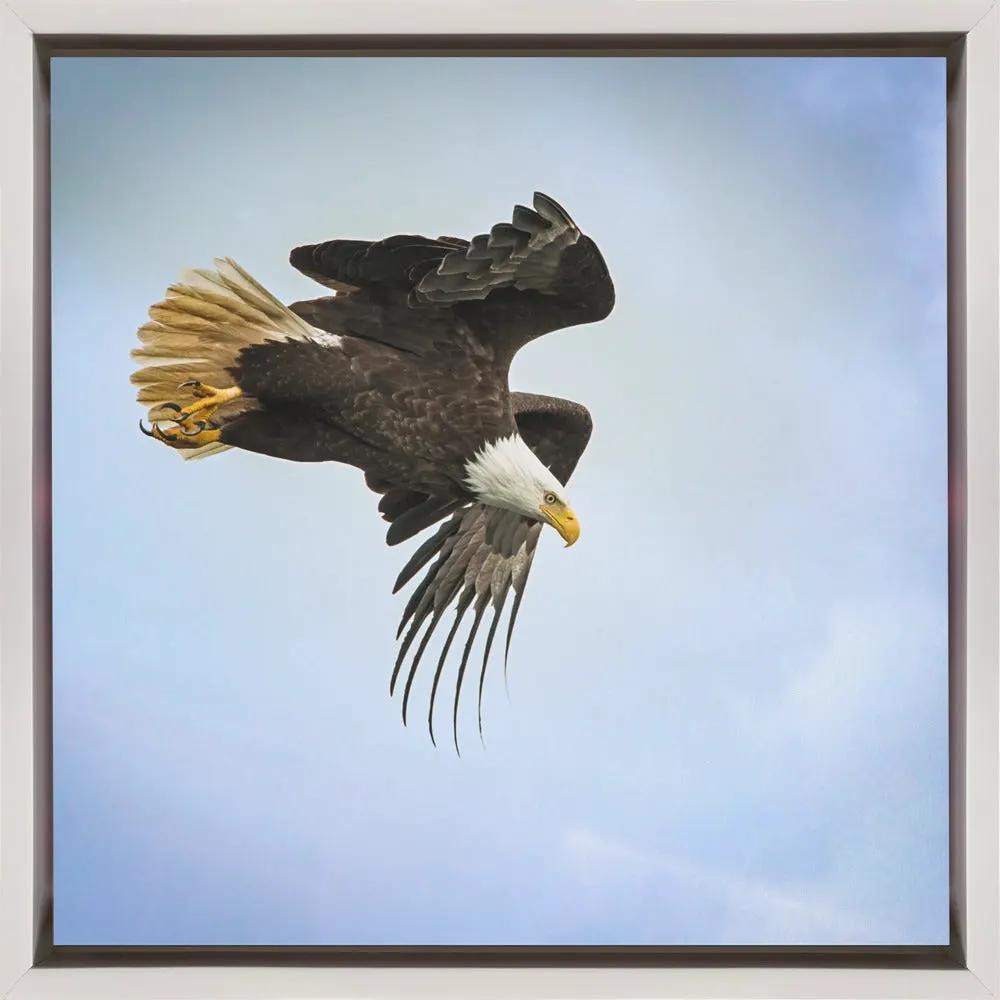 Wall art Taking Flight by Benton Murphy