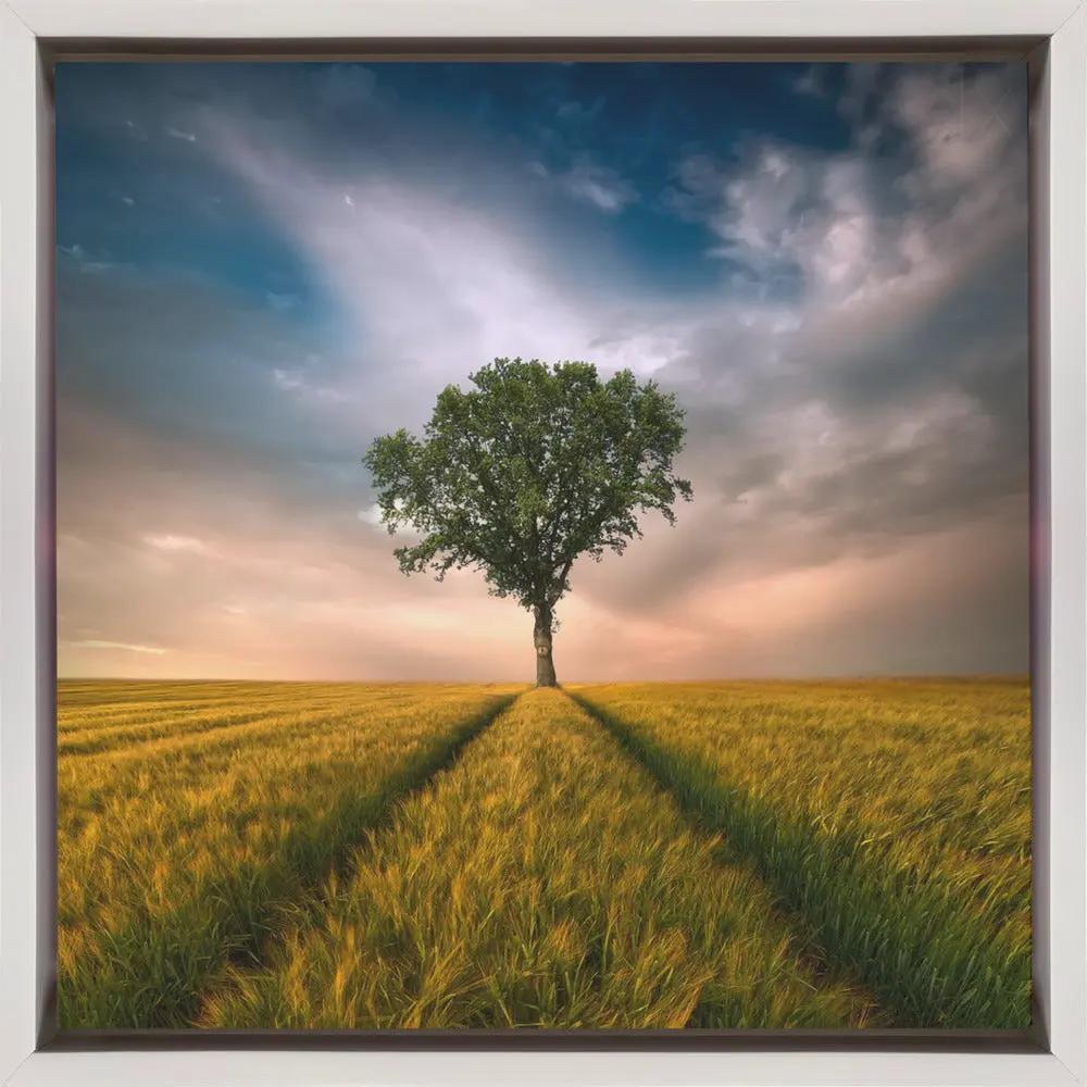 Wall art One by Piotr Krol (Bax)