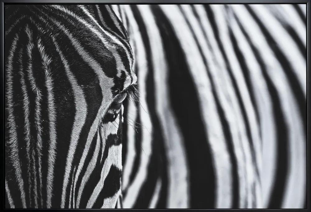 Wall art The look of nature by Marco Tagliarino