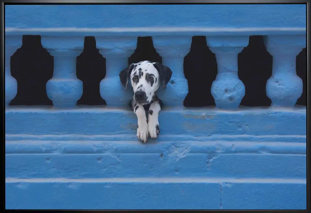 Wall art Centro Habana by Roxana Labagnara