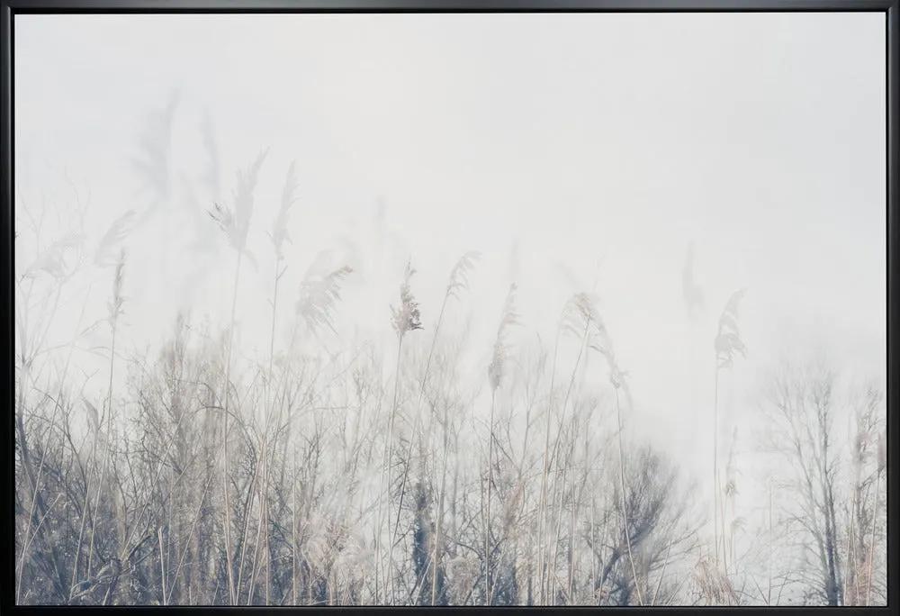 Wall art Landscape of reeds and grass by Imaginative