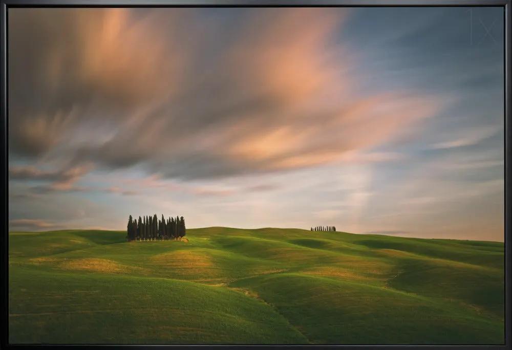 Wall art Fields... by Krzysztof Browko