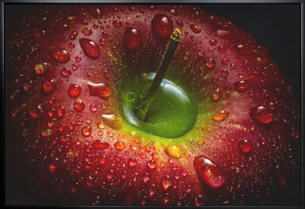 Wall art Red Apple. Food by Aida Ianeva