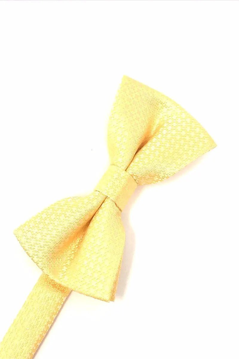 Regal Bow Tie by Tux-USA
