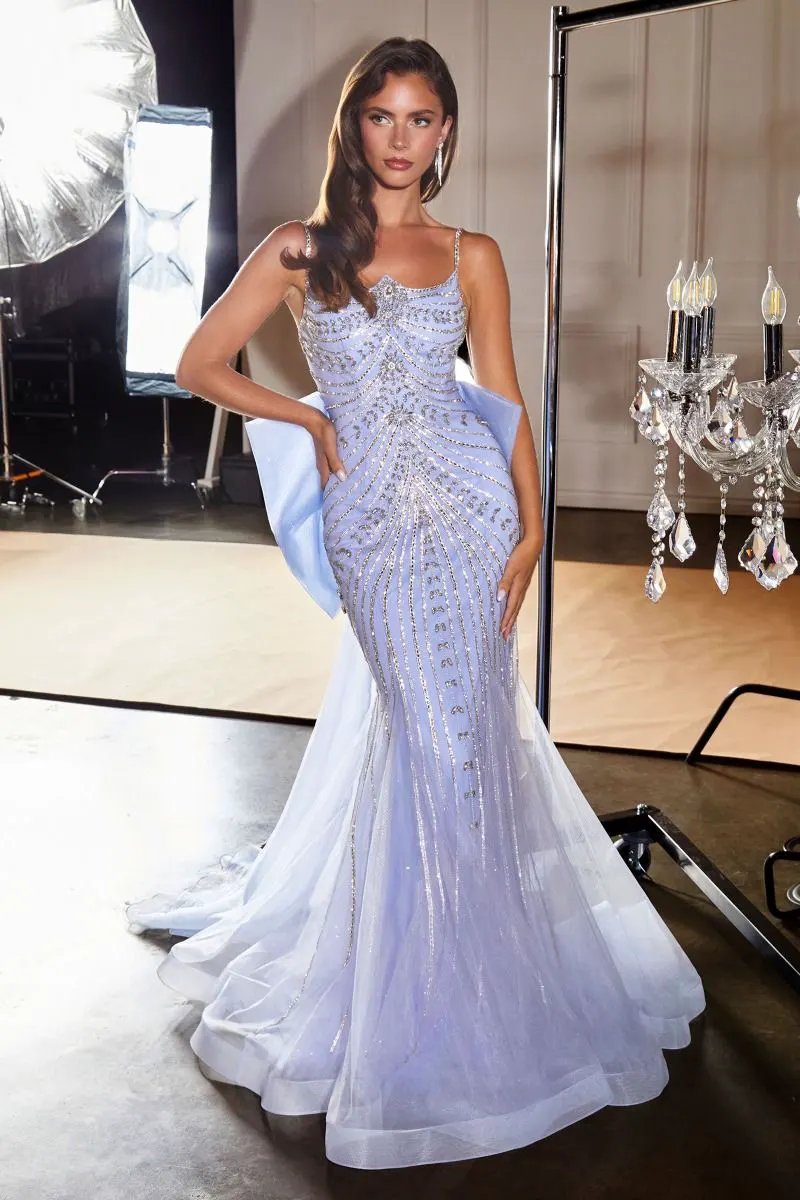 Metallic Crystal Fitted Dress by Tux-USA