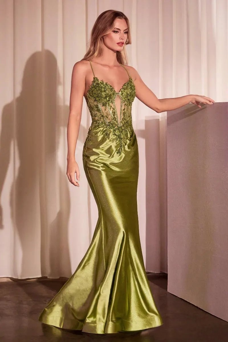 Embellished Lace & Satin Fitted Gown by Tux-USA