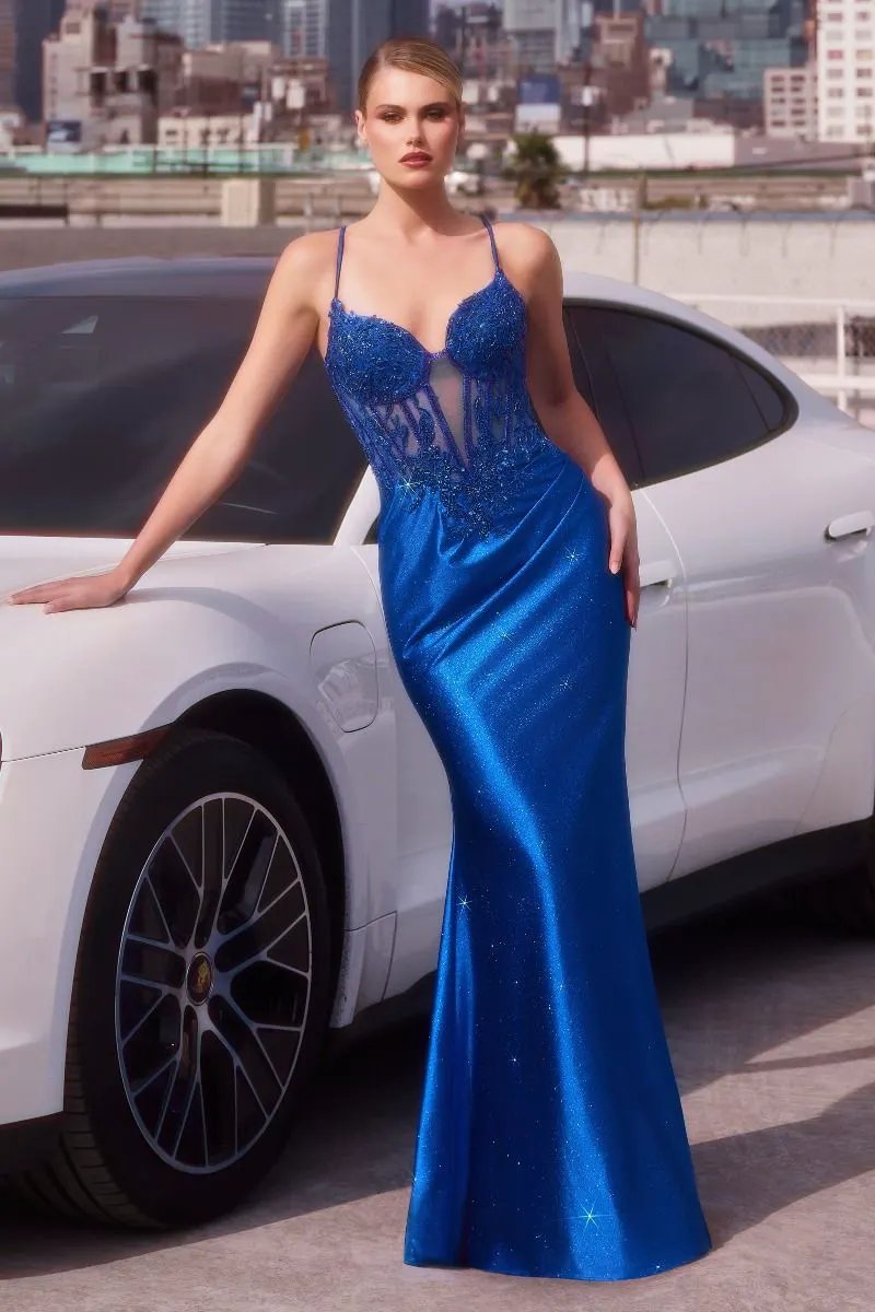 Embellished Lace & Satin Fitted Gown by Tux-USA