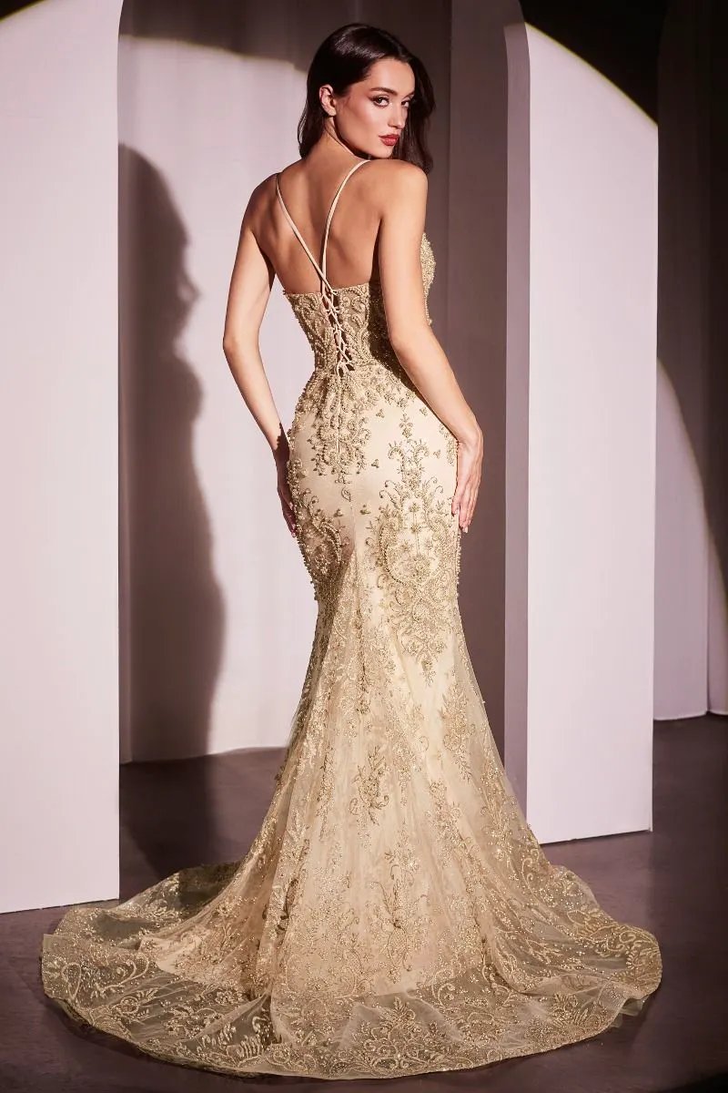 Pearl & Lace Embellished Fit & Flar Gown by Tux-USA