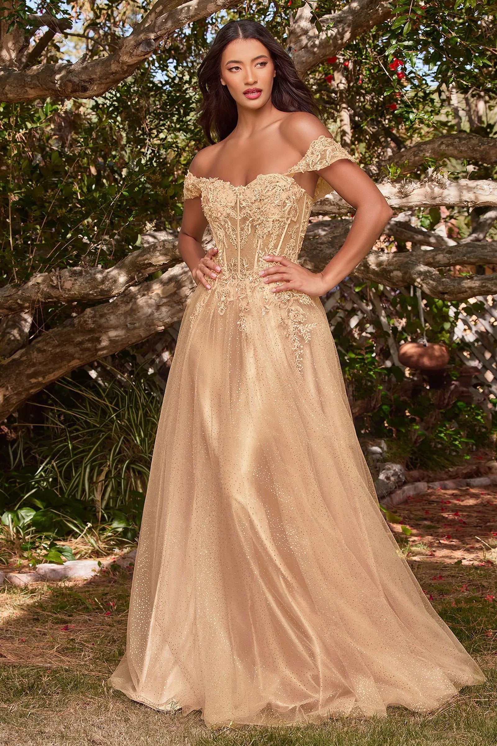 Lace A-Line Gown With Off The Shoulder Sleeves by Tux-USA